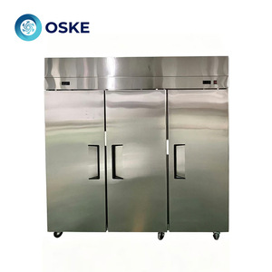 Frigorifero Verticale per Ristoranti con Interno Antigraffio, Armadio di Stoccaggio Verticale per Conservazione Quotidiana di Ingredienti Freschi - Product Image 2