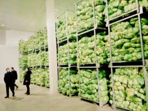 Solución Integral para Proyectos de Almacenes de Cadena de Frío: Centro de Distribución y Procesamiento de Carne con Caja de Cambios Automática, Solución Llave en Mano - Product Image 2