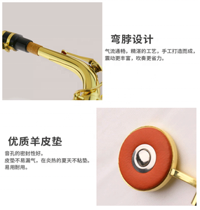 <span class=keywords><strong>Saxophone</strong></span> <span class=keywords><strong>alto</strong></span> <span class=keywords><strong>droit</strong></span> Eb, noir, <span class=keywords><strong>saxophone</strong></span> Eb - Product Image 2