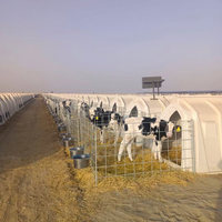 Cabanes pour veaux en plastique durables pour cages à veaux Clapier pour veaux
