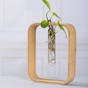Juego de Jarrones Hidropónicos de Bambú, Redondos y Cuadrados, Decoración de Escritorio, Estilo Minimalista, Porta Plantas - Product Image 2