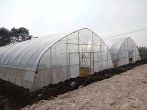 Top bán tùy chỉnh nhựa singlespan nhà kính nhà Máy Giá nhà kính để bán chi phí hiệu quả đường hầm nhà kính - Product Image 3