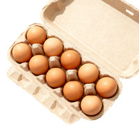 Boîte à œufs en pulpe moulée compostable et biodégradable à 10 compartiments, en papier recyclé, pour œufs frais de la ferme