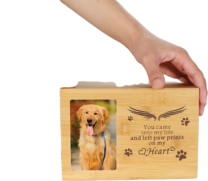 Paw Necklace Memorial Dog Cat Cremation Urn Pendant Necklace for Pet Dog Cat Small Animals