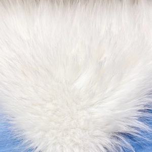 Gran oferta 100% poliéster tejido con respaldo Super esponjoso crema falso Piel de mapache en relieve Faux <span class=keywords><strong>Nutria</strong></span> piel Piel de Castor para prendas - Product Image 1