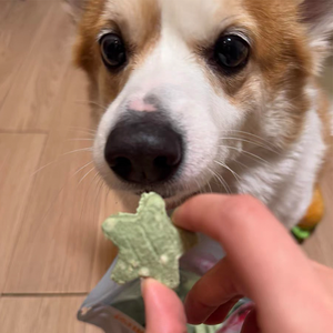 2025 orgánico liofilizado perro Dental trata ambientador de aliento Venta de mascotas tratar mejor limpieza iluminar pollo Receta perro trata - Product Image 3