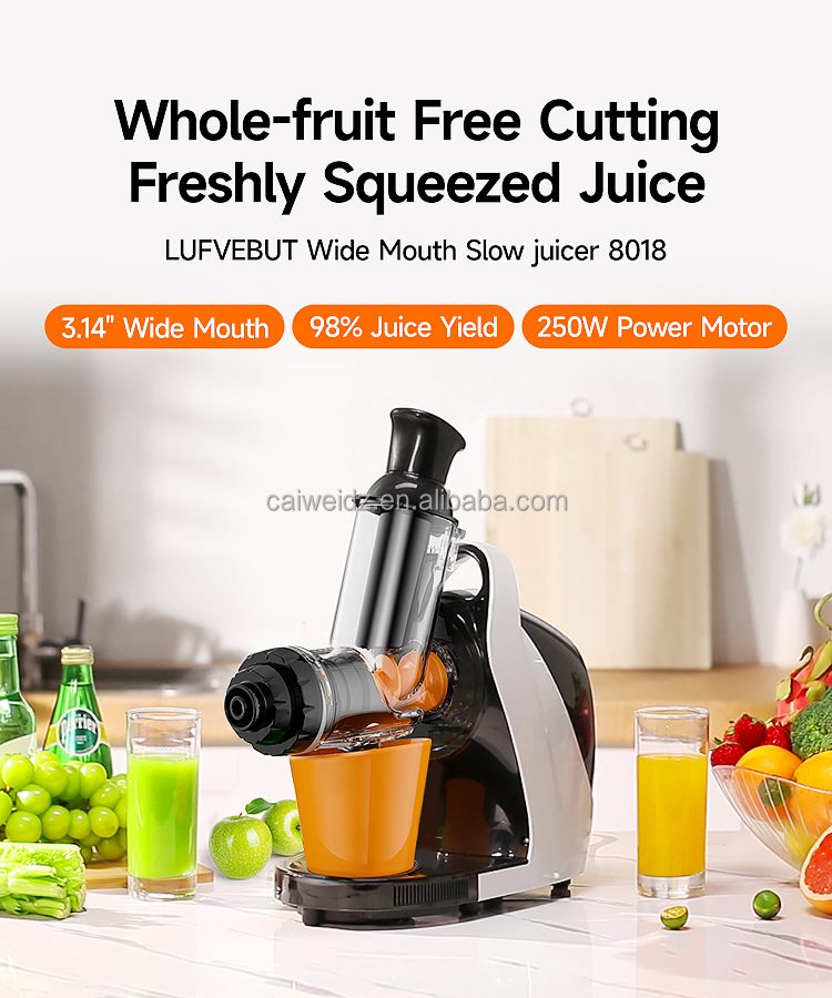 Portable Bpa-Free Juicer Perfect for RV and Home Use