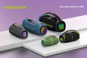 Altavoz Karaoke Portátil HOPESTAR A65 Original con Micrófono, 300w de Alta Potencia, Resistente al Agua, con Micrófono y Bluetooth - Product Image 4