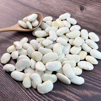 Grosses Haricots Blancs Nouvelle Récolte 45-50 Grains Directement De Chine
