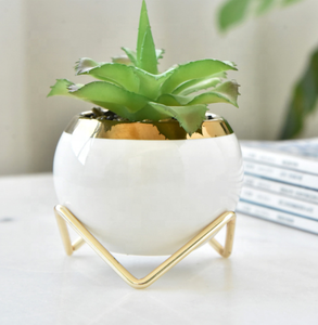 Vaso per <span class=keywords><strong>Piante</strong></span> Succulente in Ceramica Moderno e Carino con Struttura in Metallo, Elegante, Durevole ed Ecologico - Product Image 4