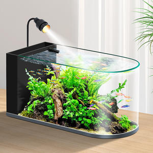 Acuario de Lujo de Vidrio Curvo <span class=keywords><strong>para</strong></span> Escritorio, Diseño de una Pieza, Ecológico, <span class=keywords><strong>para</strong></span> Peces Betta y Goldfish, Novedad 2026, <span class=keywords><strong>para</strong></span> Comedor y Dormitorio - Product Image 5