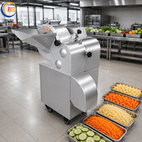 Industriële hoog-efficiënte commerciële groente- en fruitsnijmachine