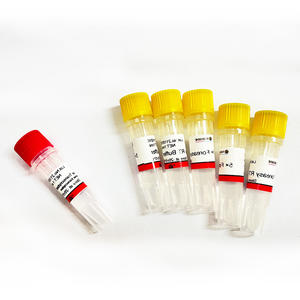 실시간 <span class=keywords><strong>PCR</strong></span> 감지 <span class=keywords><strong>Taq</strong></span> 중합 효소 Foreasy <span class=keywords><strong>Taq</strong></span> DNA 중합 효소 - Product Image 4