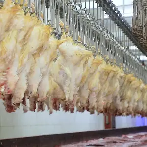 Mesin Pemotongan Mandiri Prosesor Ayam Otomatis Qingdao Raniche