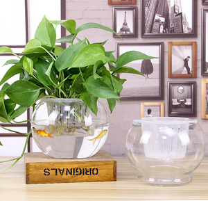 Bol à Poissons Rond en Verre Transparent de 10 Pouces en Gros - Product Image 5