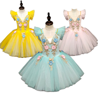 Robe de danse de ballet à jupe bouffante, manches bouffantes, tenue de ballerine, tutu de danse avec broderie florale pour enfants