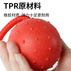 Dog Training <b>Ball</b> With Rope Rubber Chew Resistant Solid Bouncy Pet Toy For Interactive Play - Product Image 5