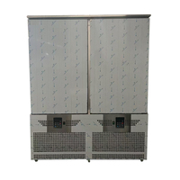 Congelador de gran capacidad de 30 bandejas, congelador de alimentos de acero inoxidable, congelador vertical de 2 puertas, Enfriador de choque