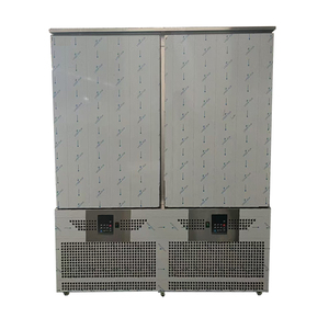 Congélateur électrique grande capacité 30 plateaux Congélation des aliments Congélateur vertical en acier inoxydable Congélateur à choc 2 portes - Product Image 4