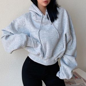 Sudadera con Capucha para Mujer, Manga Larga, Otoño Invierno, Ropa de Calle, Logotipo con Transferencia Térmica, OEM - Product Image 1