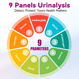 Bandelettes de test urinaire en gros à 9 paramètres : Glucose, Cétones, Bilirubine, Leucocytes, Nitrites, Protéines - Product Image 5