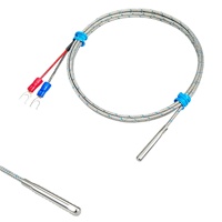 Sonde de température RTD en acier inoxydable SUS304 avec fil résistant aux hautes températures PT100/PT1000