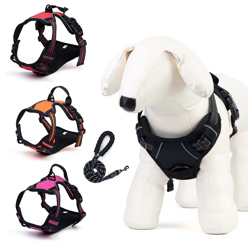 Custom Oem Logo Luxury Pet Harnesses Supplier Adjustable No Pull Dog Collar Leash Harness Set for Training