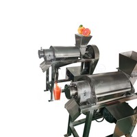 Fruitpulper Pulpermachine Automatische Fruit Sinaasappelsap Druivenpers Maken Extractor Machine 500 Kg/u