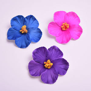 10cm Simulation Frangipanier Fleur pour Hawaïen De Mariage Corsage Coiffe Accessoire Séché Diadèmes Couronnes <span class=keywords><strong>Pince</strong></span> À <span class=keywords><strong>Cheveux</strong></span> - Product Image 4