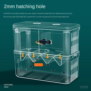 Multifunctionele Transparante Acryl Dubbellaags Isolatiedoos Plastic Viskwekerij Opknoping Incubator Fokker <span class=keywords><strong>Aquarium</strong></span> - Product Image 3