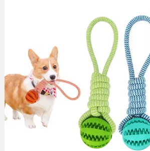 Toptan komik dayanıklı diş temizleme evcil hayvan topu köpek interaktif oyuncak agresif chewer köpek çiğnemek oyuncak