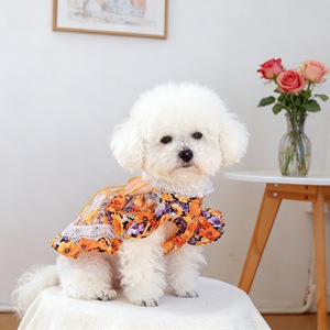 Pet <b>Clothes</b> For Dogs And <b>Cats</b> Orange Blossom Floral Dress With Lace Trim Cute Pet Dress Small Dog Puppy Outfit - Product Image 4
