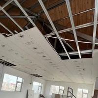 Estructuras de Construcción Modernas: Perfiles Metálicos de Acero Galvanizado para Techos, Paredes y Estructuras Ligeras