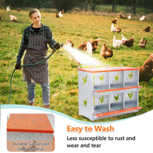 ¡Gran oferta 2026! Nido moderno de acero inoxidable de 6 compartimentos para gallinas/patos, montado en pared, fácil recolección de huevos, protección contra el viento - Desde almacén de EE. UU. - Product Image 4
