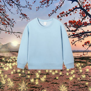 Sudadera con Capucha Informal de Invierno, Cuello Redondo, Personalizable, de Alta Calidad, Holgada, con Hombros Caídos, para Niños, al por Mayor - Product Image 3