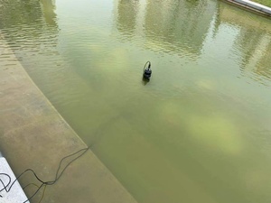 Chất Lượng Cao Nitrat/Sodium/<span class=keywords><strong>Fluoride</strong></span> Ion Cảm Biến Clorua Xử Lý Nước Ion Meter - Product Image 6