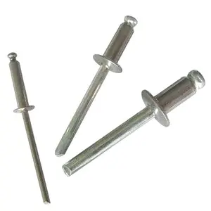 Wholesale Blind Rivet Manufacturer Sliver DIN7337 Rivets Aluminium Blind Pop Rivets 3.2*12 4*10 1/8*1/2 5/32*1/2