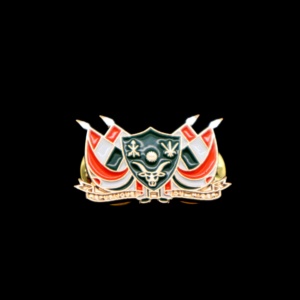 Pin personalizado Metal <span class=keywords><strong>iran</strong></span>í doble Uae Chipre Turquía país Grecia Alemania Vietnam Finlandia Canadá bandera Pin - Product Image 2