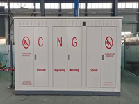 Regulator Tekanan CNG Skid (PRMS) untuk Sistem Pengaturan dan Pengukuran Tekanan Industri Kimia Laju Alir 1000SCM/Jam ISO9001