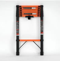 Échelle télescopique pliable en aluminium robuste Xinxing avec une capacité de charge de 150 kg pour une utilisation en extérieur sur les escaliers