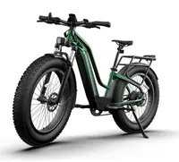 دراجات كهربائية عريضة الاطار منتصف محرك موتور Ebike الجبل 500W 750W 1000W 16Ah البطارية