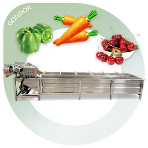 Vegetasble Fruit Elevator Washer Commercial Multipurpose Vegetable Wash Machine and Fruit Wash for Sale