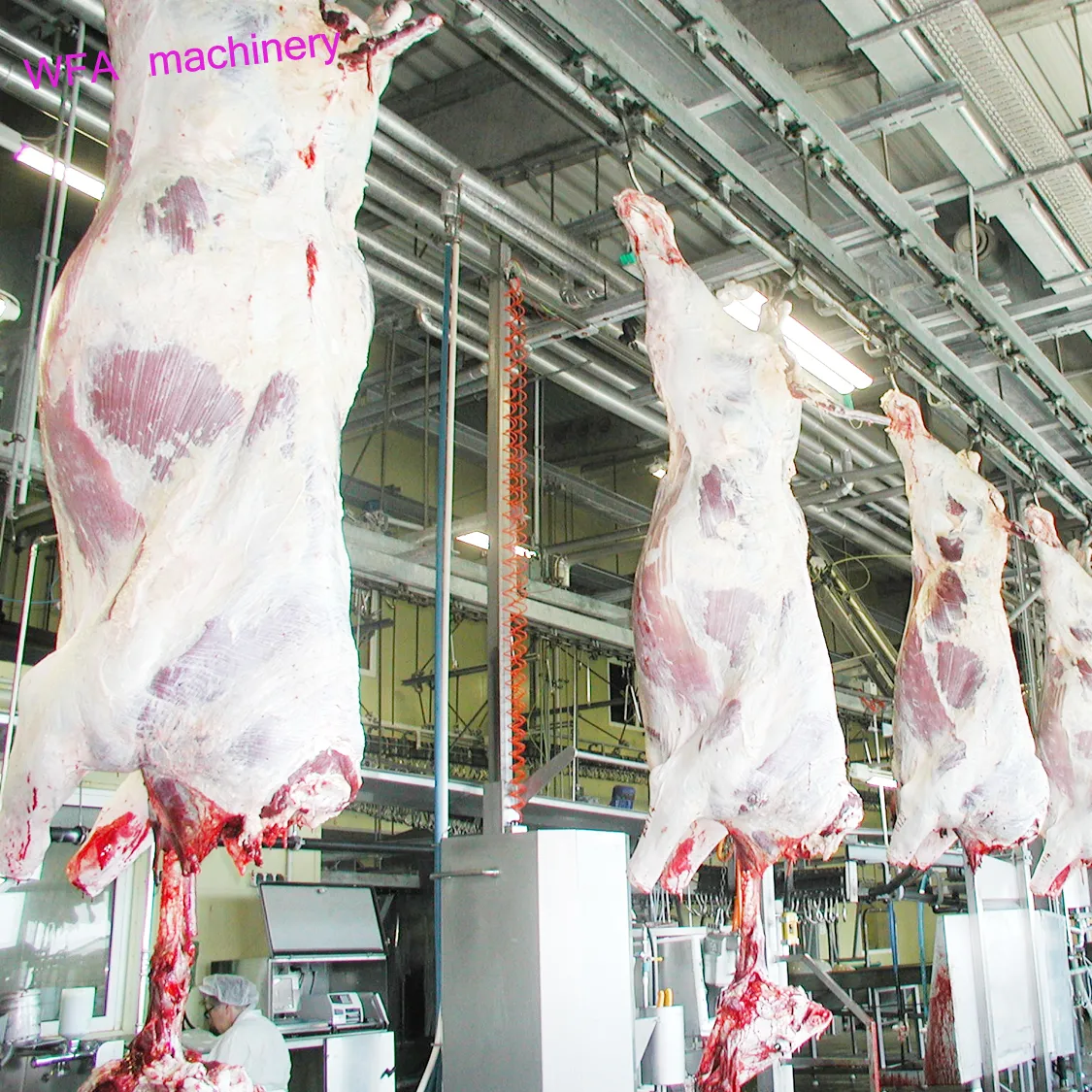 Hot bán giải pháp hoàn chỉnh bò butcher chảy máu băng tải cho gia súc giết mổ dòng thiết bị của trâu giết mổ máy móc