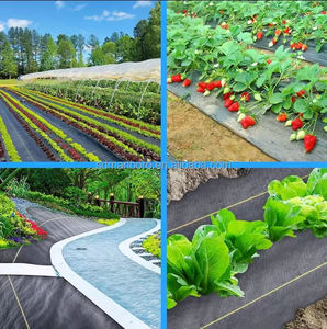 Toile géotextile industrielle en PP non tissé anti-âge, idéale <span class=keywords><strong>pour</strong></span> les allées gravillonnées - Product Image 3