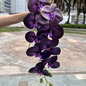 BF-OD15-1 Tendances actuelles : Orchidées Phalaenopsis artificielles à 9 têtes, toucher réel, violet foncé, pour décorations de mariage et de maison - Product Image 1
