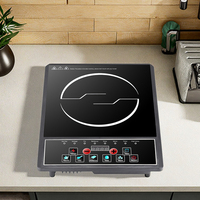 Cuisinière à induction portable électrique, plaque en céramique, commande par bouton, 8 fonctions, étanche, 2200W, utilisation domestique, camping-car, hôtel
