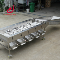 Groentefruit Classificator 1000 Kg/u Aardappelui Sorteermachine Sorteermachine Prijs