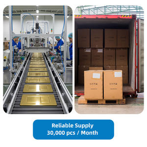 Plaque de chasse d'eau <span class=keywords><strong>double</strong></span> personnalisée Omega Actuator, pour réservoir encastré dissimulé, compatible carrelage, en ABS, pour toilettes murales carrelées - Product Image 5