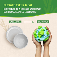 Assiettes jetables modernes biodégradables en canne à sucre, ensemble écologique en papier et bambou pour hôtels, restaurants et fêtes