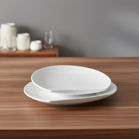 Ensemble d'assiettes de table en plastique et mélamine, vente en gros, d'usine